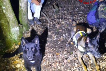 Cercatore di funghi s’infortuna nel bosco: soccorso dai pompieri