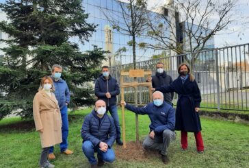 Snam, piantato il primo albero di una foresta di 3 mila piante