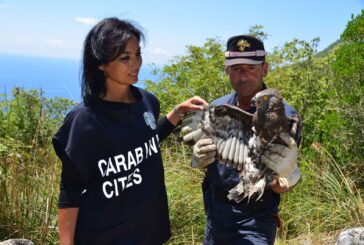 I Carabinieri del nucleo Cites presentano il loro calendario