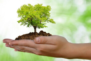 “Un albero per ogni nato”: cerimonia con bimbi solo dopo l’emergenza Covid