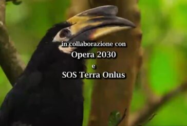 Madre Terra – 18° Rapporto ‘Gli italiani, il solare e la green economy’