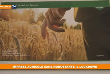 Imprese agricole sane nonostante il lockdown
