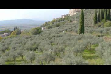 Italia Team ambasciatore dell’olio extravergine italiano di qualità