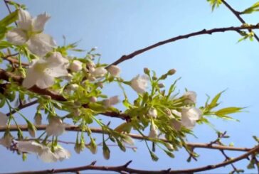 Madre Terra – campagna #NoFakeFood