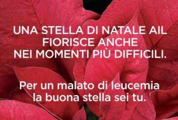 Lotta alle leucemie, tornano le Stelle di Natale dell'AIL