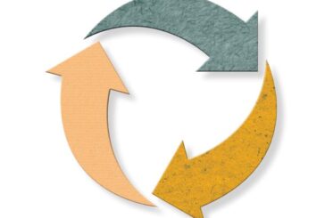 Da carta e cartone i nuovi materiali per il packaging sostenibile