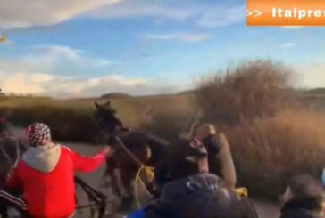 Corsa clandestina di cavalli, 38 denunce nell'agrigentino
