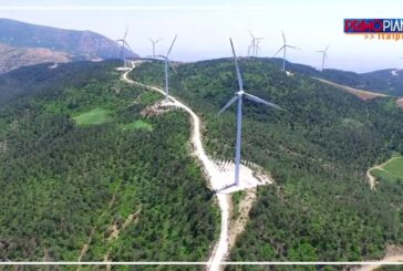 Pecoraro Scanio “I Cinquestelle? Hanno copiato il nostro programma”