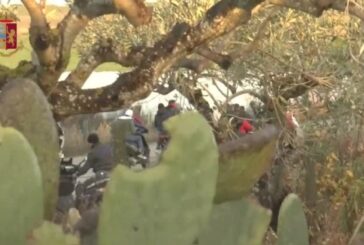 Corsa clandestina di cavalli, 38 denunce nell’agrigentino