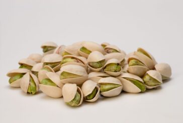 Alimentazione, i pistacchi aiutano il sistema immunitario