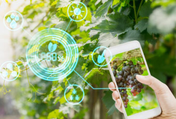 Nuove tecnologie in agricoltura: focus di Upa su aziende e digitale