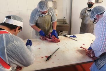 Siena ha cinque nuovi macellai pronti per esercitare