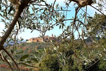 Decreto olivicultura, priorità agli oliveti iscritti nel registro dei Paesaggi Rurali Storici