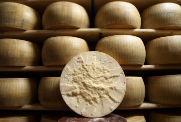 Parmigiano Reggiano, nel 2020 +7.9% vendite in Italia, +10.7% all'estero