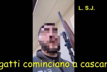 Operazione DDA Catania, uomo uccide un gatto con un fucile di precisione