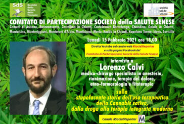In streaming il Comitato SdS parla di cannabis sativa