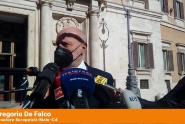 De Falco “La priorità è fermare la circolazione del virus”