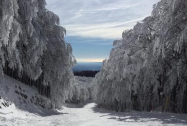 Coldiretti: “Neve: in azione trattori per pulire strade e spargere sale”