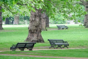 Piano del Verde comunale e biodiversità: la Giunta approva due delibere