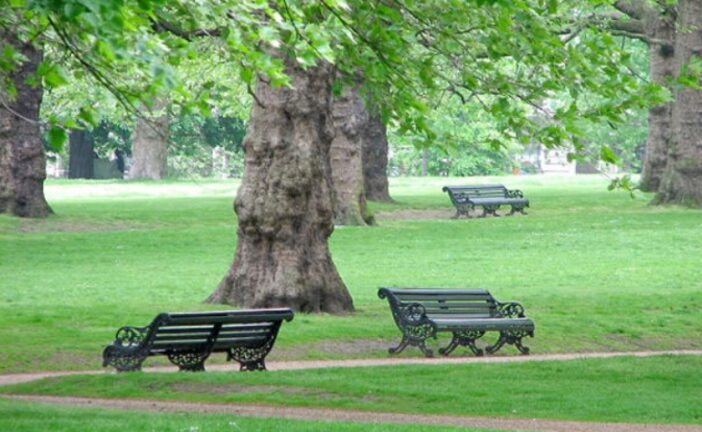 Piano del Verde comunale e biodiversità: la Giunta approva due delibere