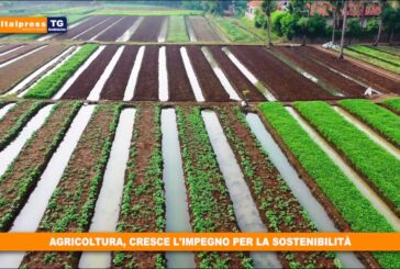 Italpress e Ideegreen siglano partnership per diffusione Tg Ambiente