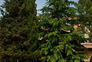 A Poggibonsi lo “Sportello pedagogico – verso una genitorialità competente”