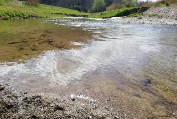“Elsa e Staggia risorse da tutelare e valorizzare”