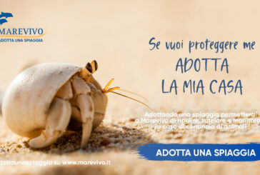 "Adotta una spiaggia", al via la nuova campagna di Marevivo