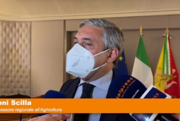 Quindici milioni per le aziende agricole siciliane