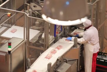 Ue, calo occupazione colpisce soprattutto i giovani