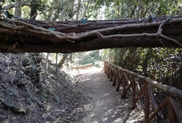 Azione Poggibonsi: “Tanti percorsi nel verde, poca manutenzione”