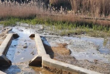 Precarie condizioni del Parco termale dell’Acqua Borra: Rosso convoca una riunione