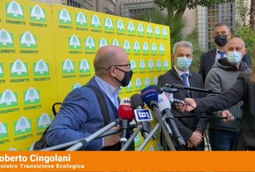 Recovery, Cingolani “Parametri ambientali chiari e stringenti”