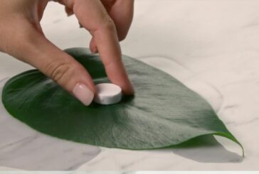 Allegrini, con VOIhotels sostenibilità per i cosmetici in albergo