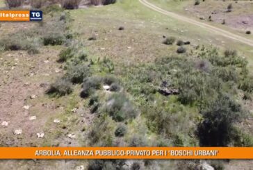 Tg Ambiente – 23/5/2021