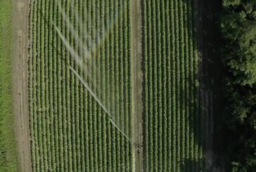 Philip Morris acquista un terzo della produzione di tabacco dell’Umbria