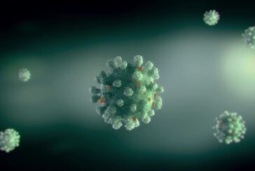 Anticorpi persistono almeno 8 mesi dopo diagnosi Covid