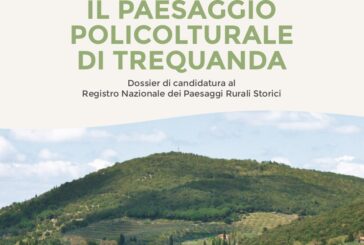 Promozione del territorio e cultura nel progetto “O-live. Una strada per restare”