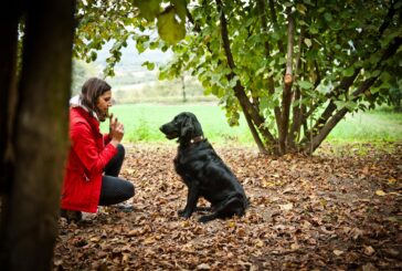 Tartufo: è on line il corso per i cani da cerca