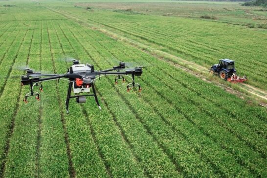 PNRR: in Toscana completati gli interventi per modernizzare frantoi e macchine agricole