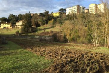 Bando di Legambiente per gli orti urbani al fosso di Ravacciano