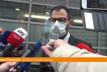 Pac, Patuanelli: “Condizionalità deve essere elemento fondante”