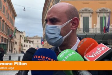 Ddl Zan, Pillon “Istigazione a discriminazione vuol dire tutto e niente”