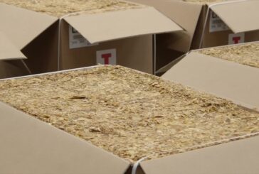 Philip Morris acquista il 41% della produzione di tabacco veneto