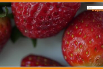 Sorsi di Benessere – Depurarsi con acqua, fragole, basilico e succo d’aloe