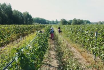 Agricoltura, ancora niente accordo sulla nuova Pac