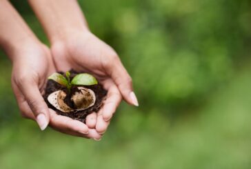 Il caffè espresso napoletano amico dell'ambiente