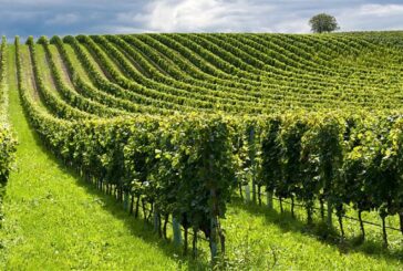 Agricoltura, accordo in Europa sulla riforma della Pac