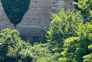 Sena Civitas: “I capperi salveranno le mura di Siena?”