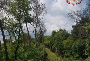 Malore in campagna per 77enne: interviene Drago